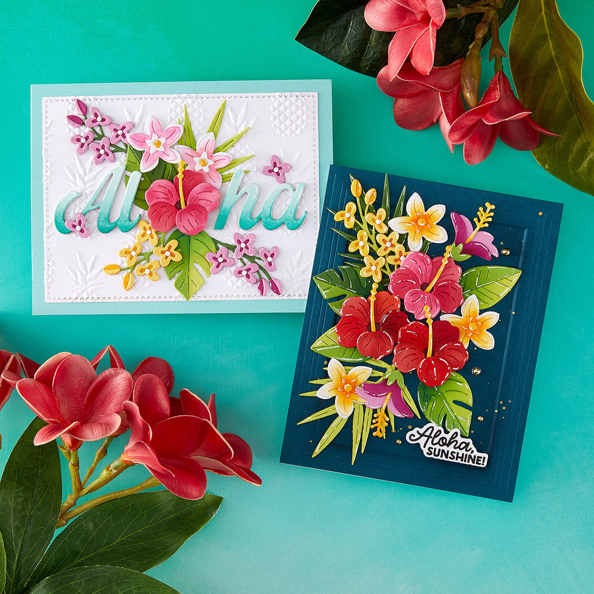 June New Sea Turtle and Tropic - огляд і ціна Candle Making Guide